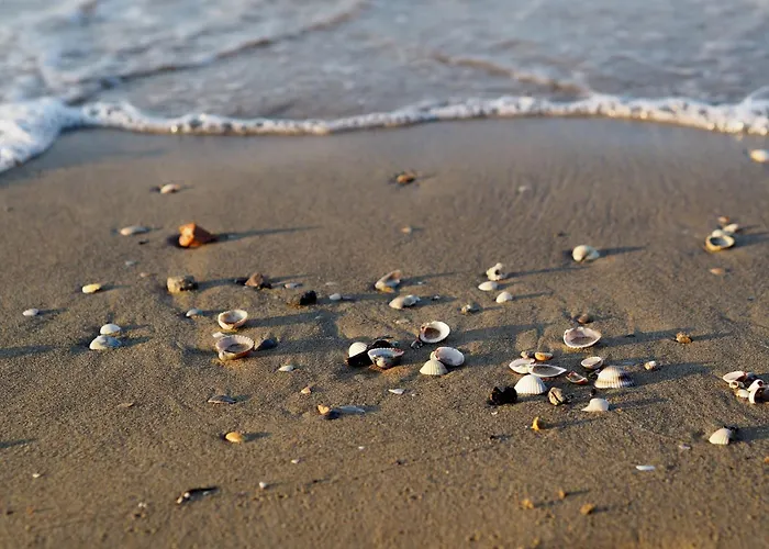 アパート Adorable With Terrace Overlooking The Sea